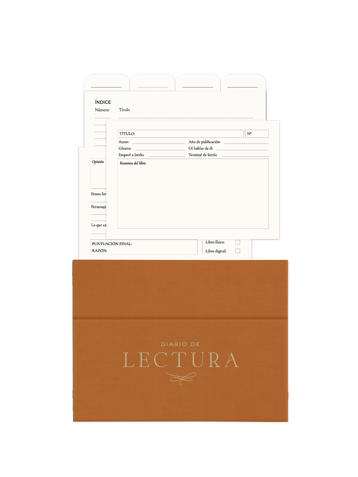 LECTURA BOX + TARJETONES 1600