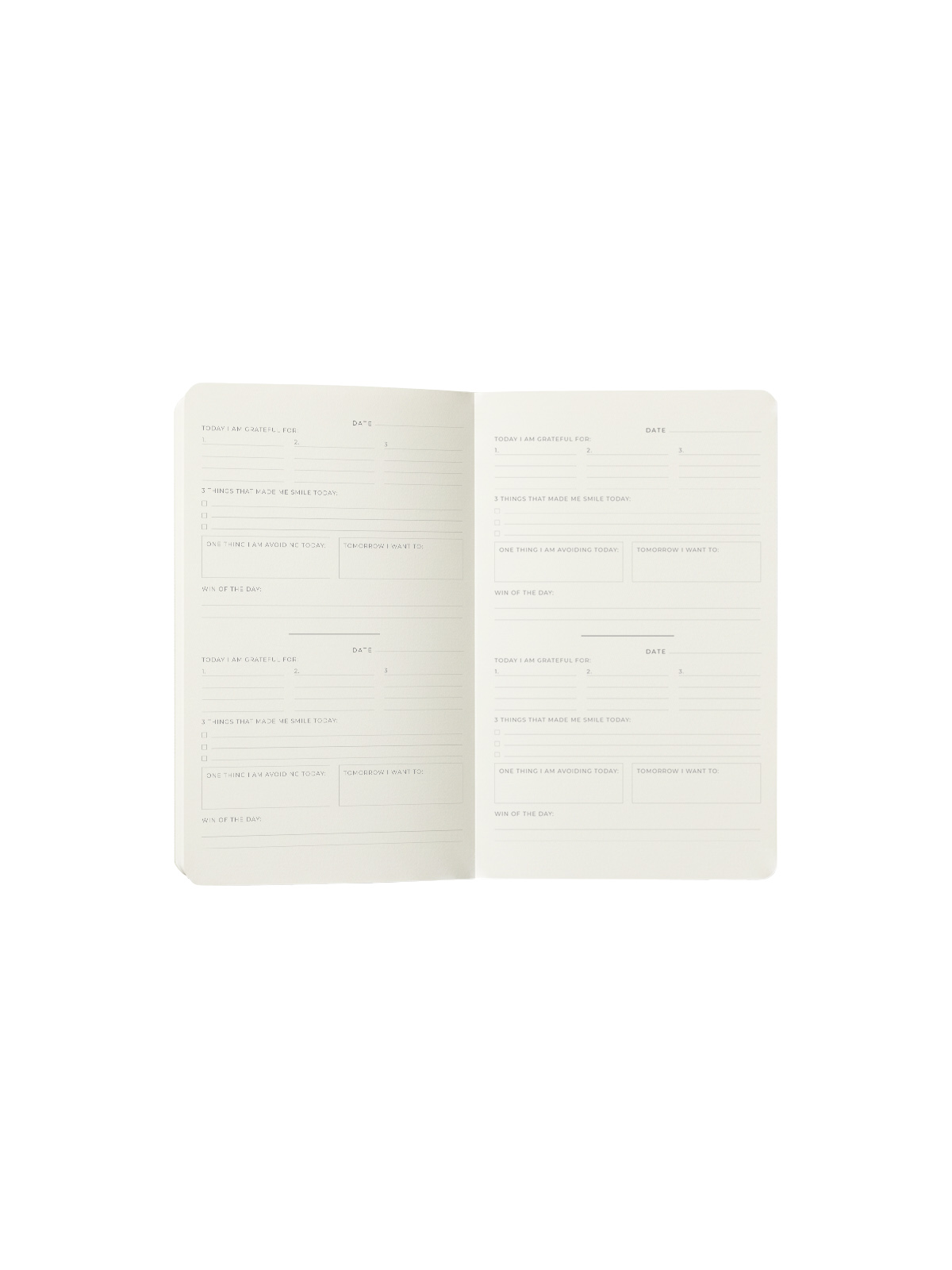 interior diario de gratitud The Great Moustache