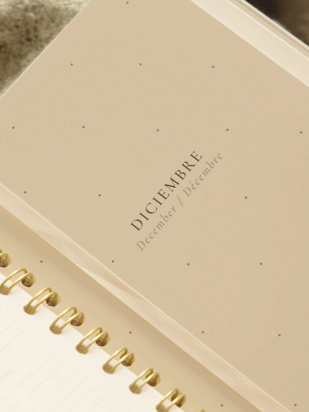 interior de agenda The Great Moustache 2027