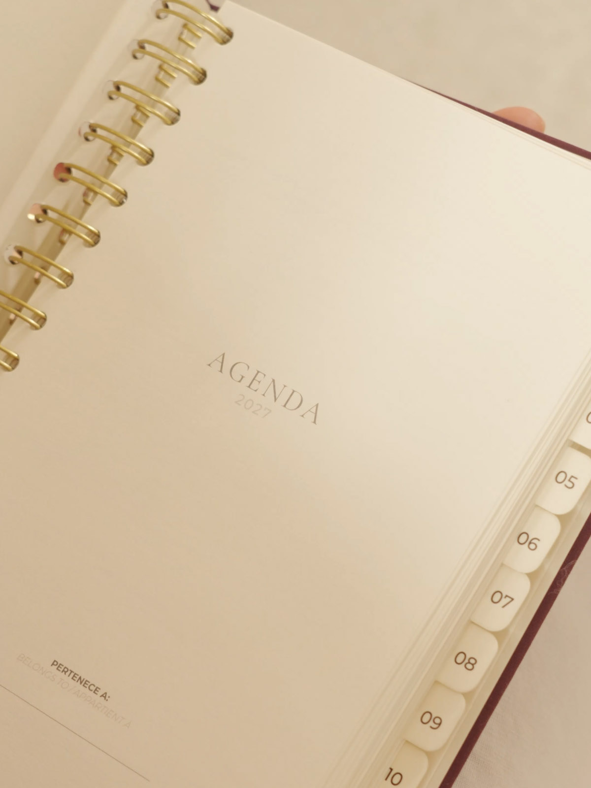 agenda anual 2027 The Great Moustache